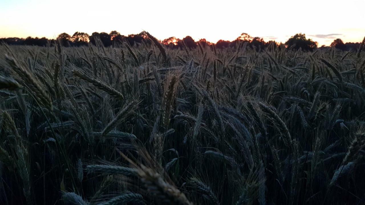 Ferienwohnung Utkiek Aurich Exteriér fotografie