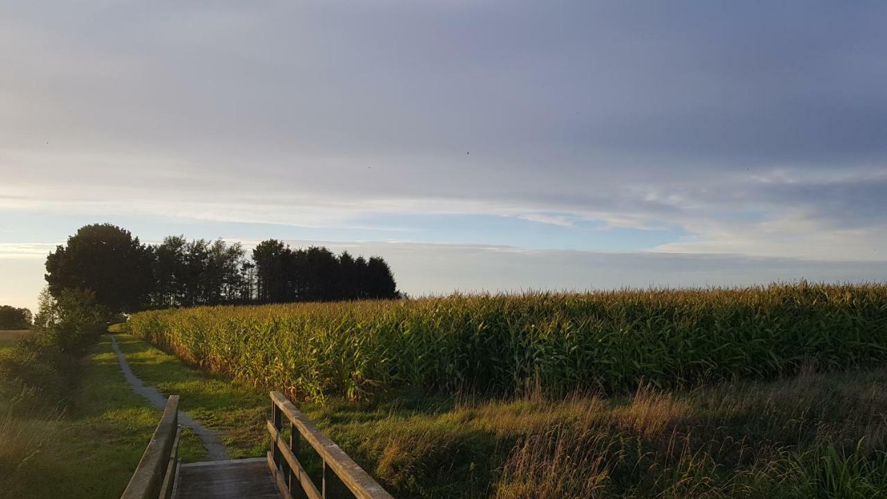 Ferienwohnung Utkiek Aurich Exteriér fotografie